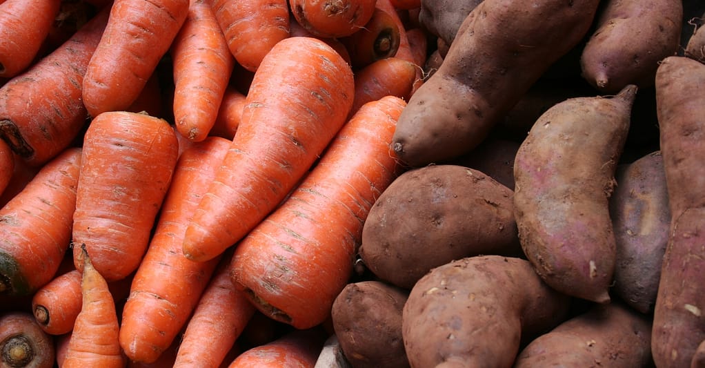 Carrots Sweet Potatoes